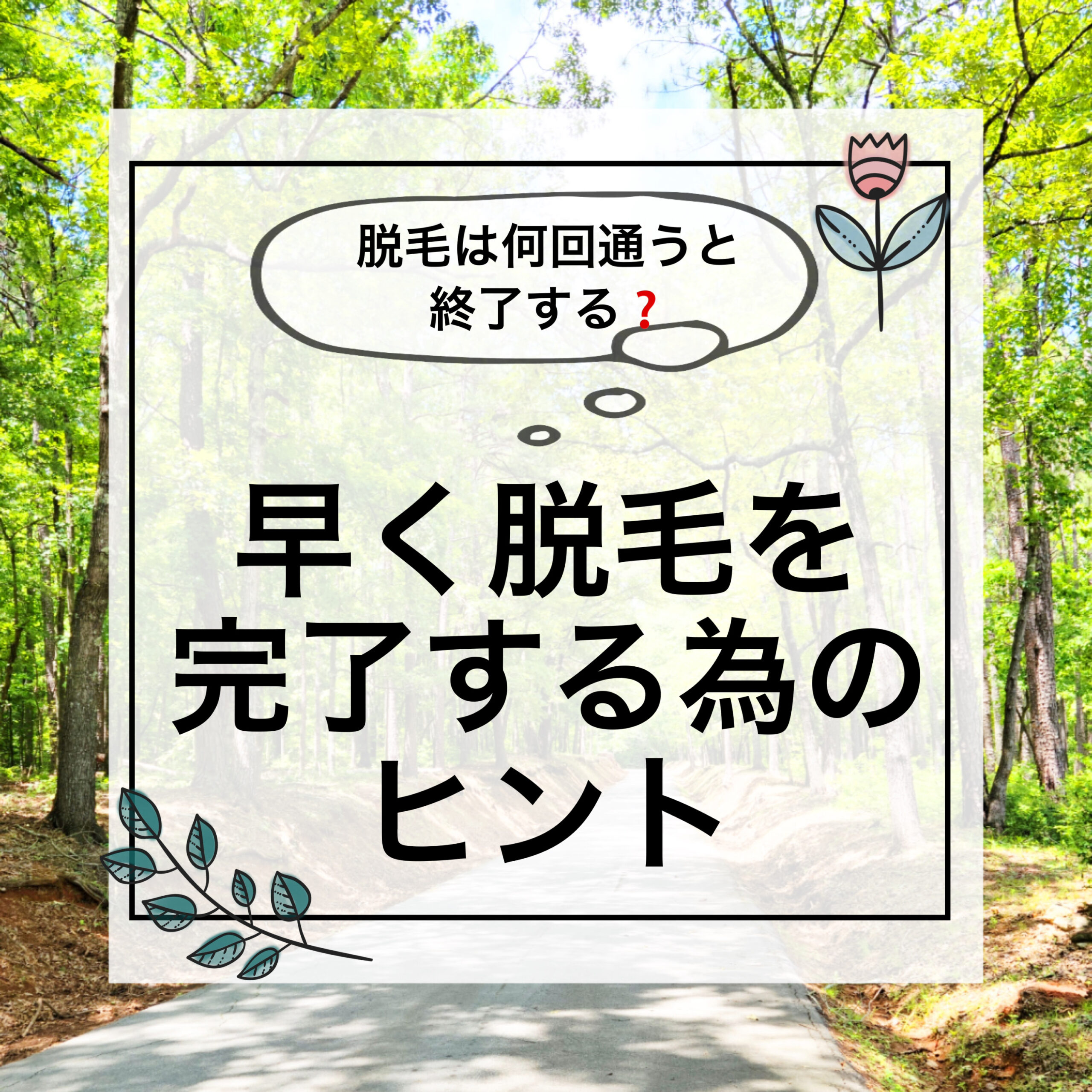 脱毛は何回で完了するの❓のサムネイル画像