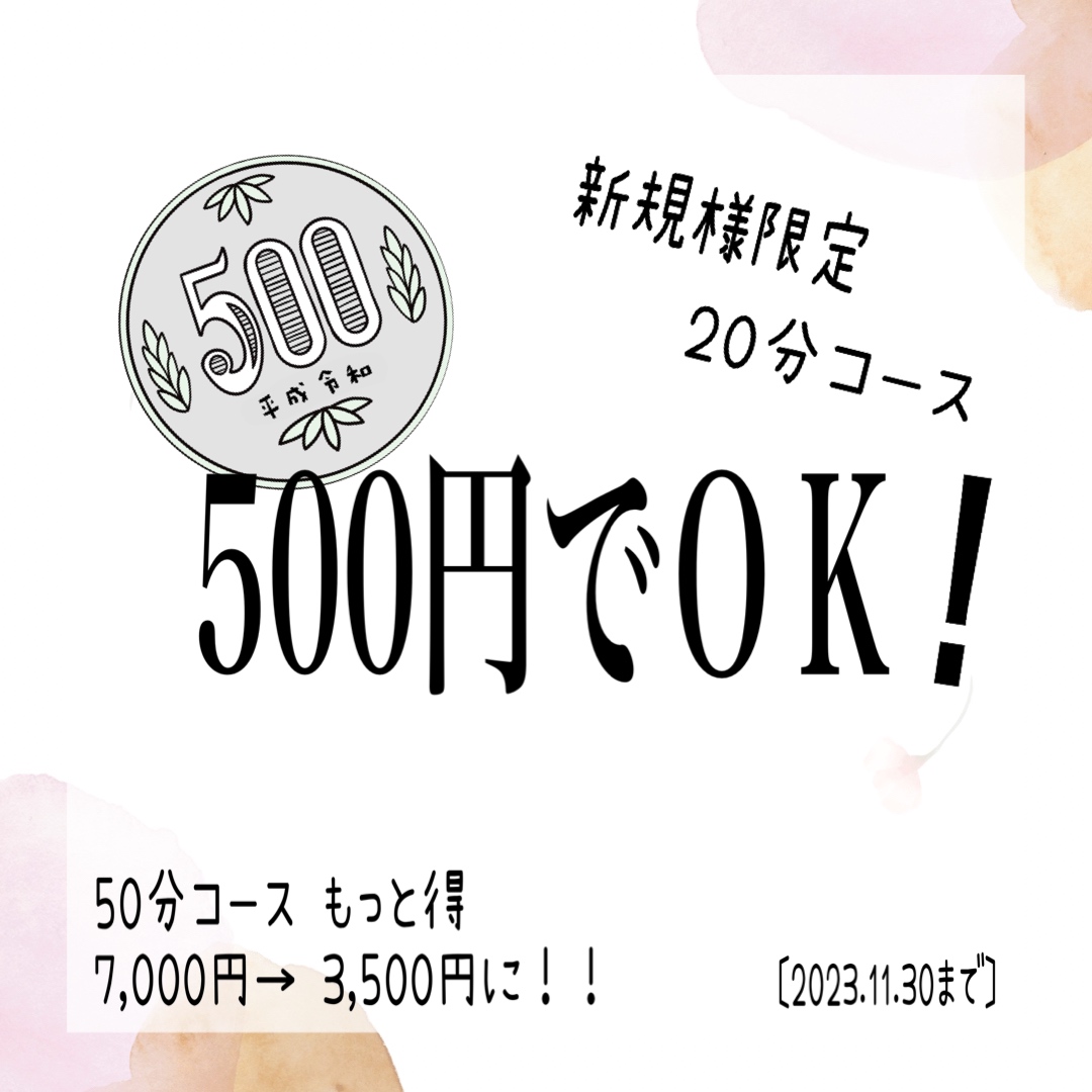 500円でＯＫ!のサムネイル画像